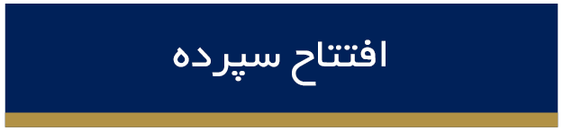 راهنمای تیم‌بانک